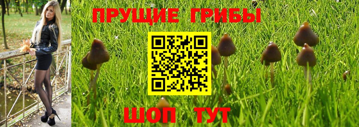Галлюциногенные грибы GOLDEN TEACHER Ефремов