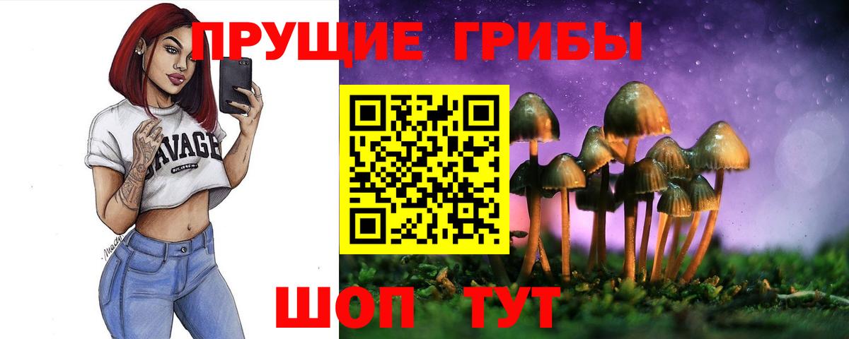 Ефремов  Галлюциногенные грибы GOLDEN TEACHER  Псилоцибиновые грибы Psilocybe  Вход с VPN 