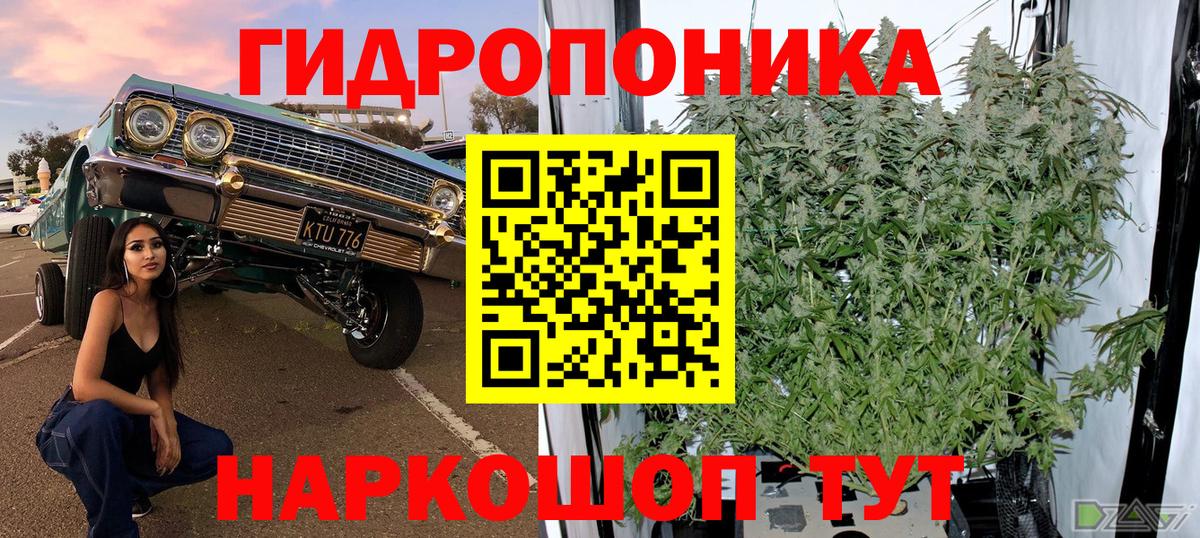 Бошки марихуана тримм  Бошки Шишки Bruce Banner  Вход с VPN  Шишки марихуана гибрид  Ефремов 